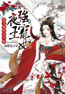 夜王强宠妃：逆天纨绔九小姐